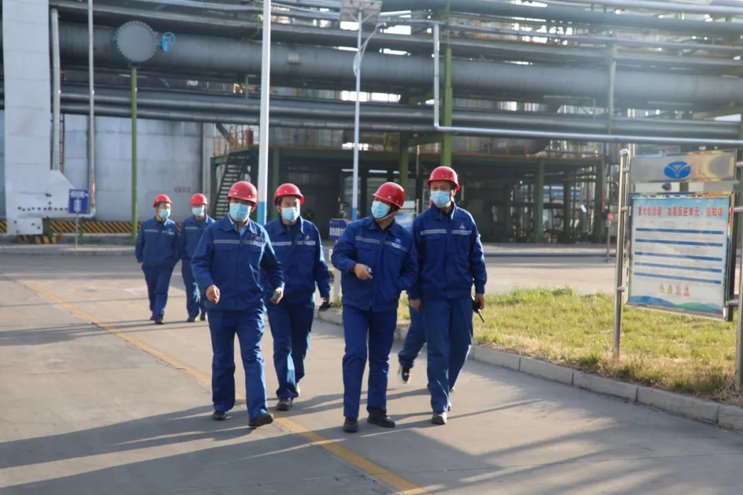 1669599412976544.jpeg 555.jpg