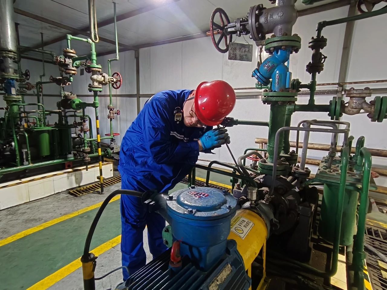 1741652325297454.jpeg 3.jpg