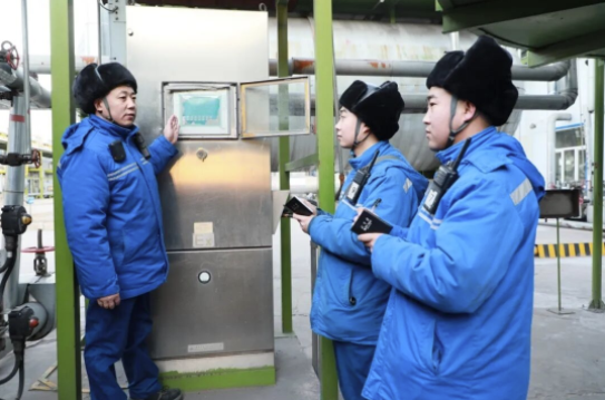 1769595074183729.png 11.png