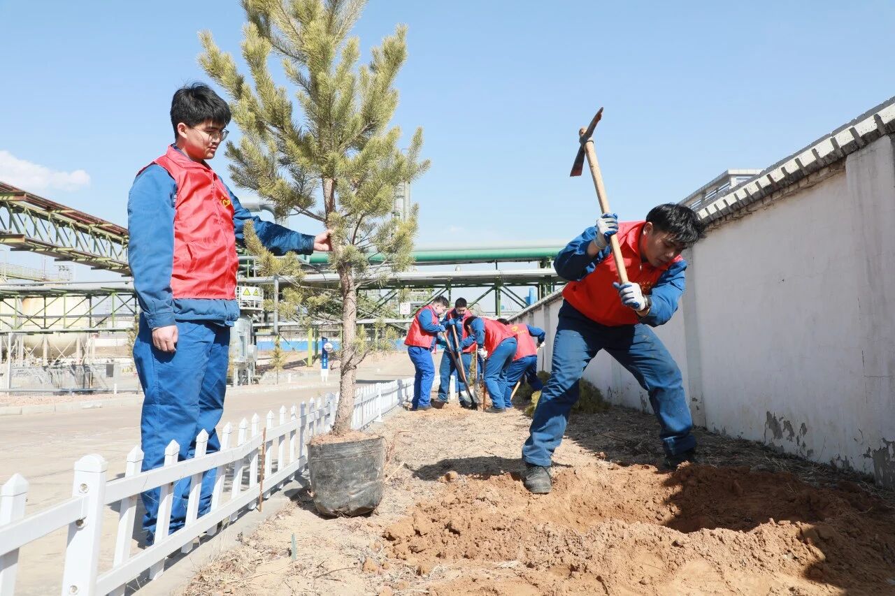 1773620497760471.jpeg 001.jpg