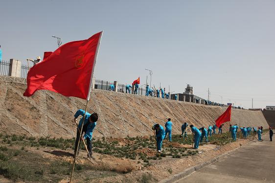 植樹活動現(xiàn)場 植樹活動現(xiàn)場